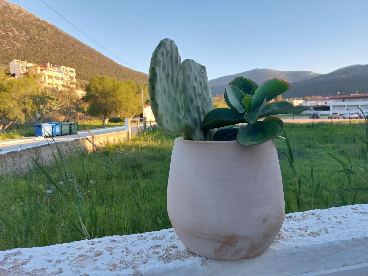 Vitamin Sea Apartment 4, Άνετο Διαμέρισμα. Almiropotamos Ngoại thất bức ảnh